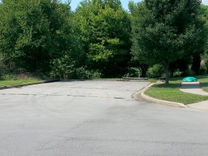 A dead end street segment programmed by the neighborhood.