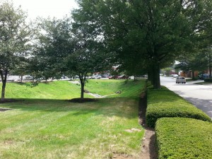Hedges instead of sidewalks