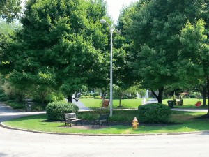 Parklet at the end of Chenault