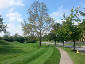 This area has some picturesque streetscapes