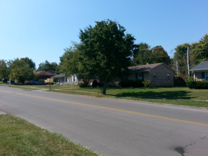Houses in the Cove Lake neighborhood