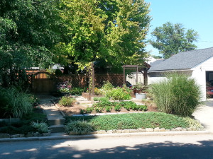 Established Garden in the Henry Clay neighborhood