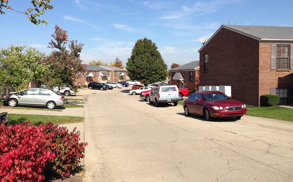Day 53-Parking Woes