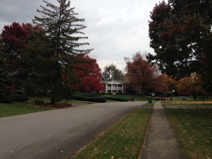 A typical stretch of road in the Landsdowne area