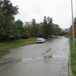 Fall color on Chippendale Circle