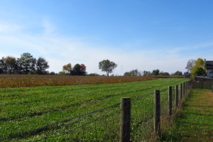 Looking across the Fayette county line from the Sunny Slope neighborhood.
