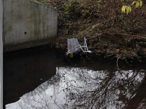 Shopping carts are easy to clean up...all the other trash is a problem.