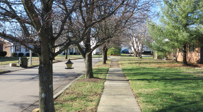 Day 75-More different than alike