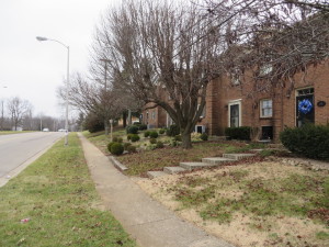 Townhomes near Palumbo and Darby Creek