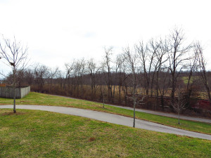 One of the access points to the Town Branch Trail.