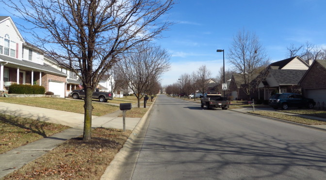 Day 82-More new houses