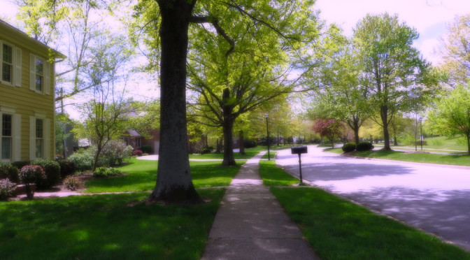 Day 101- Lampposts