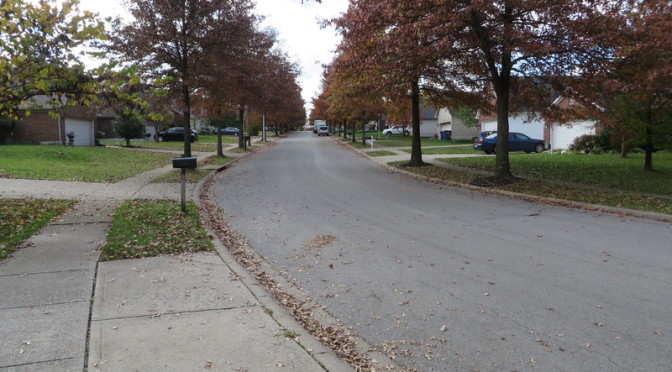Day 117-Street Trees, Liberty Road continued